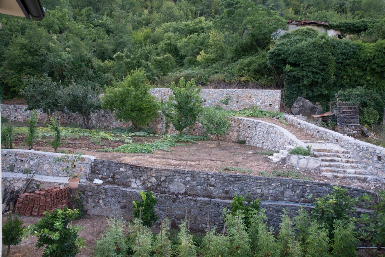 Village House Dunja Virpazar Bagian luar foto