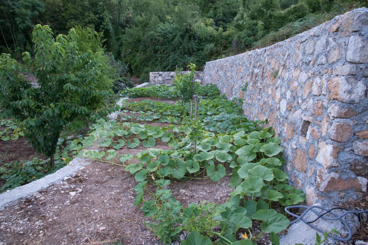 Village House Dunja Virpazar Bagian luar foto