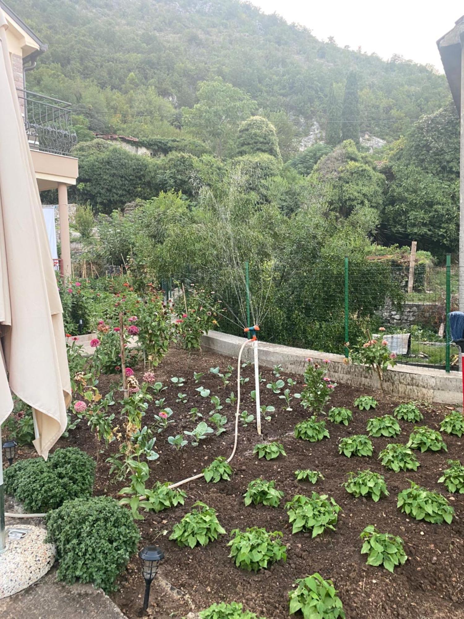 Village House Dunja Virpazar Bagian luar foto